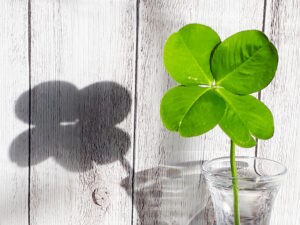 ローンが通らない人の為のローン！審査がどこも通らないが貸してくれるローン会社一覧表とは？現金・車・住宅・ブラックなど